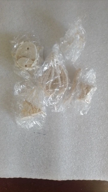 Buyer photo of this resin kit