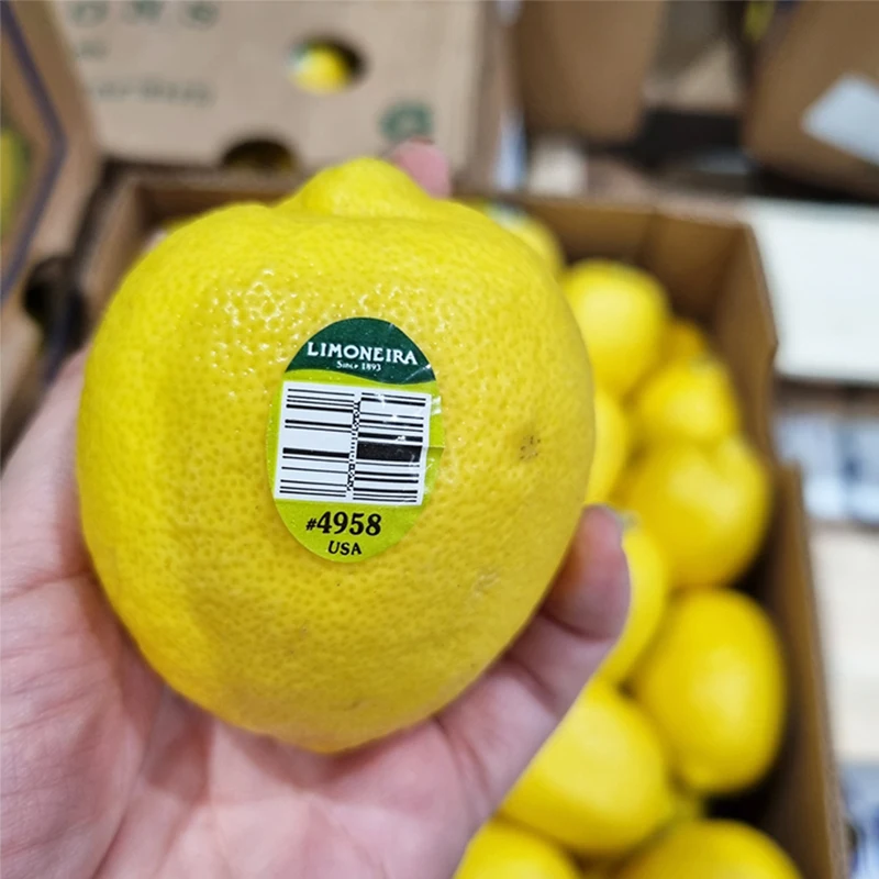 상큼함 가득 정품 수입 레몬 소중대과