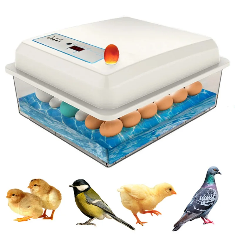 20 egg incubators Incubators are used for fully automatic breeding of geese and ducks to breed birds' eggs