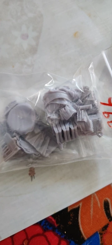 Buyer photo of this resin kit