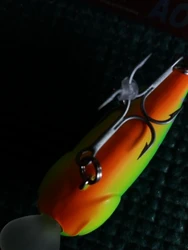 Imagen de reseña 4
