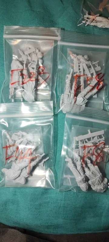 Buyer photo of this resin kit