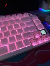 Zdjęcie z opinii 7