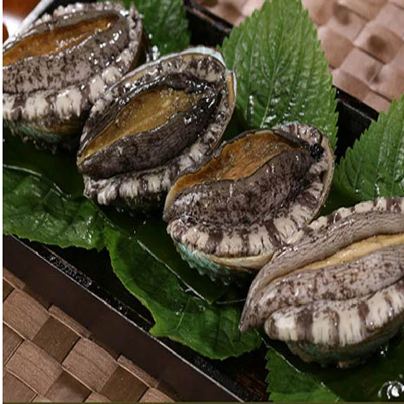 Hesre, Wando abalone 1kg(7 ~ 8 mi)