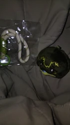 Imagen de reseña 4