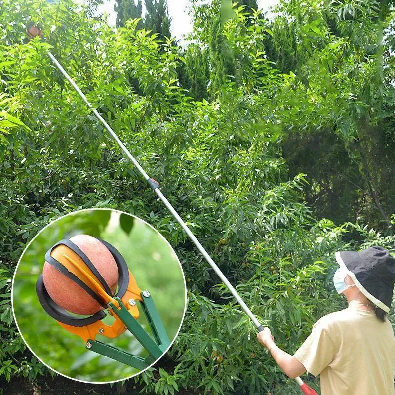 Ramasseur de fruits à haute Altitude, poignée allongée de 1M à 5M, pour pomme, Orange, poire, pêche, 3 mâchoires, arbre haut, attrape-fruits avec tige