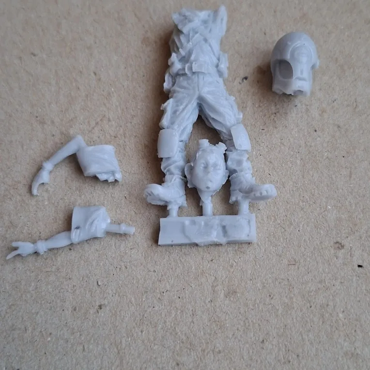 Buyer photo of this resin kit