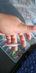 Imagen de reseña 3
