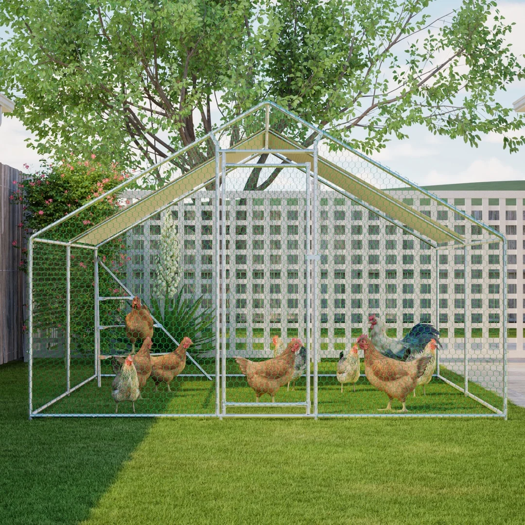 3x4m Zware Metalen Kippenren | Zitstok + waterdicht dak + veiligheidsslot voor pluimvee