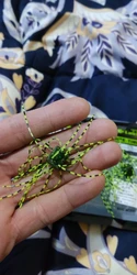 Imagen de reseña 2
