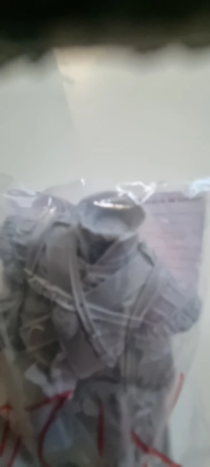 Buyer photo of this resin kit