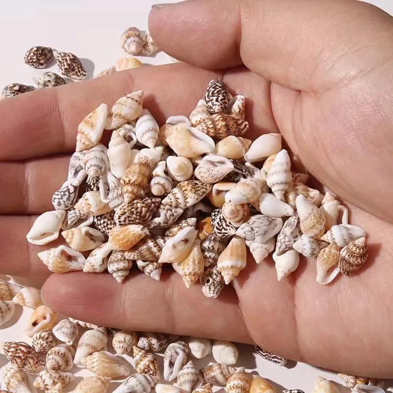 30g  Mini Conch Shell DIY Craft Material for Making Bracelets, Necklaces, and Phone Case Decorations, Random Colors