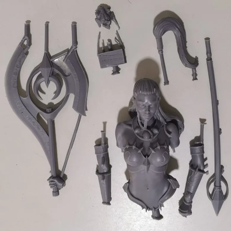 Buyer photo of this resin kit