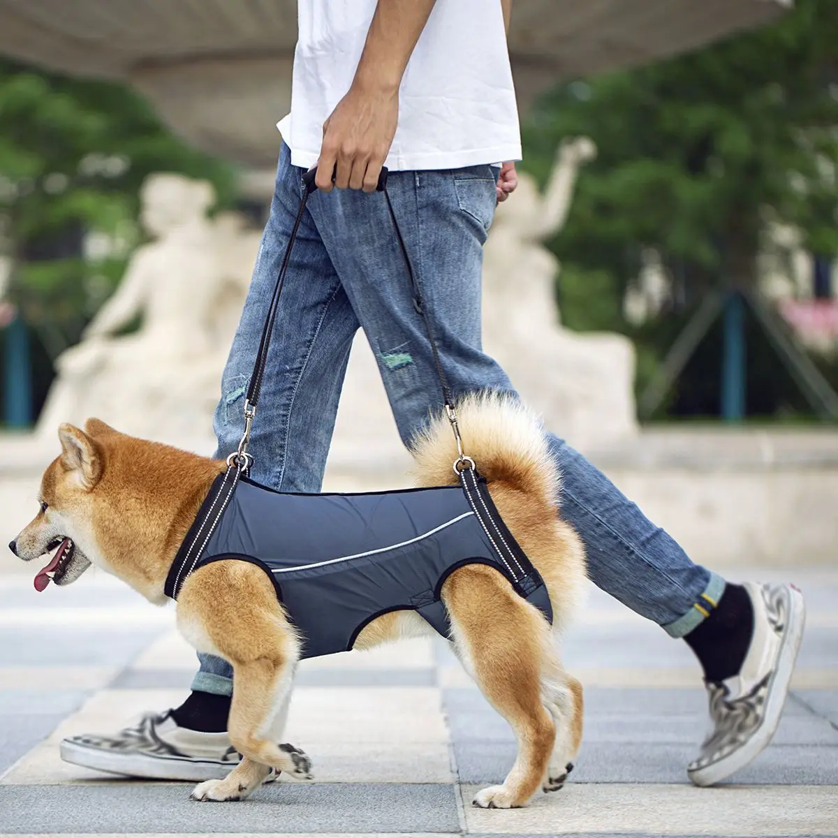 Pet pet pet joint protective whole body harness