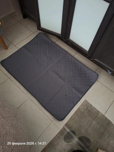 Customer review photo for Washable Reusable Dog Pee Pad