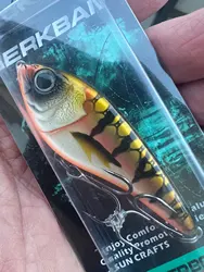 Imagen de reseña 1