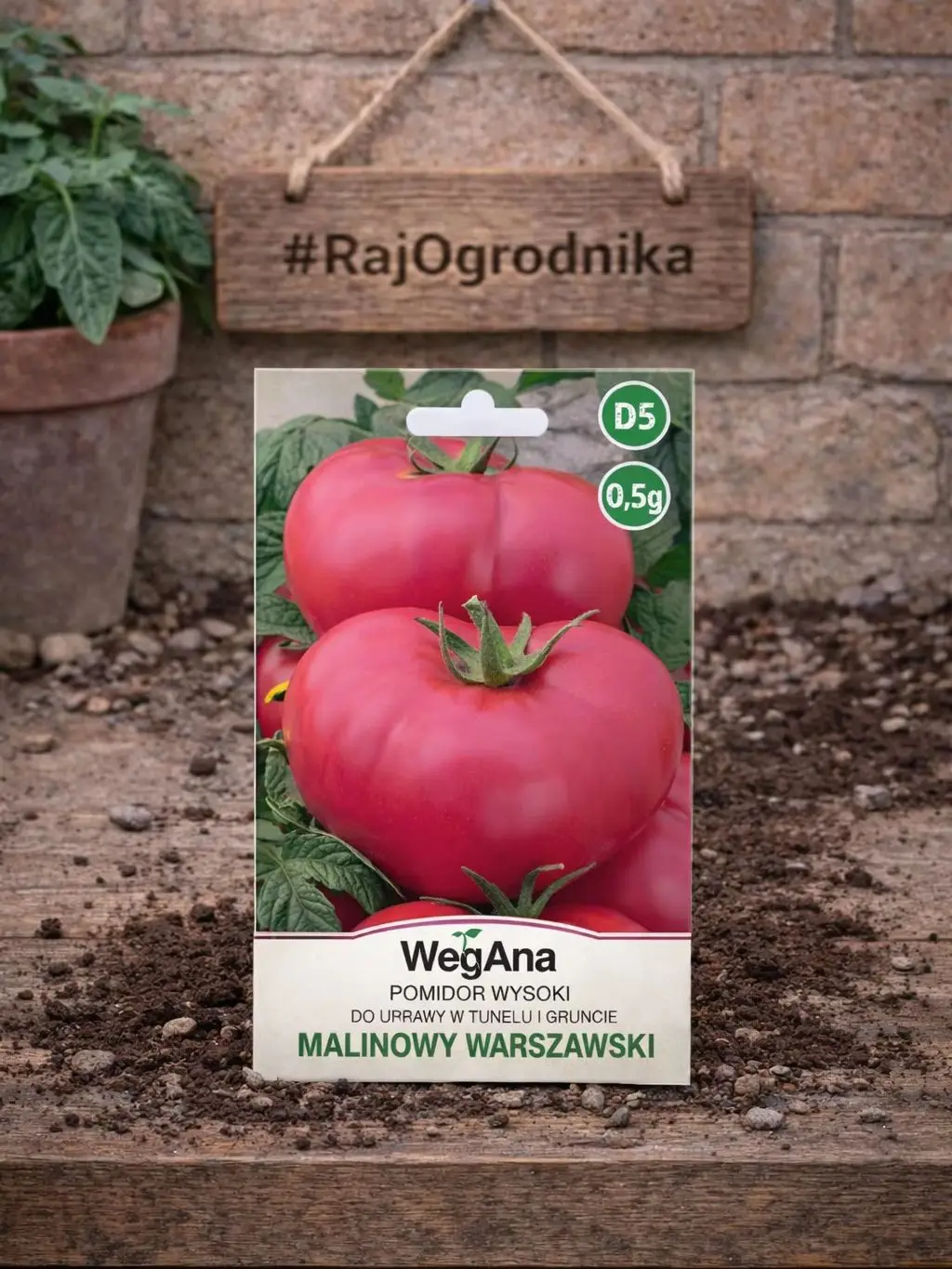 Varsovie de tomate framboise pour tunnel et graines moulues 0,5g-VegAna