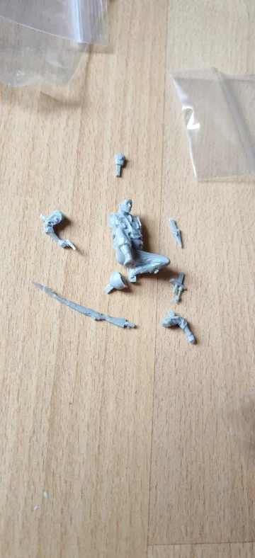 Buyer photo of this resin kit