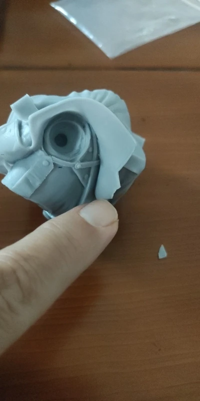 Buyer photo of this resin kit