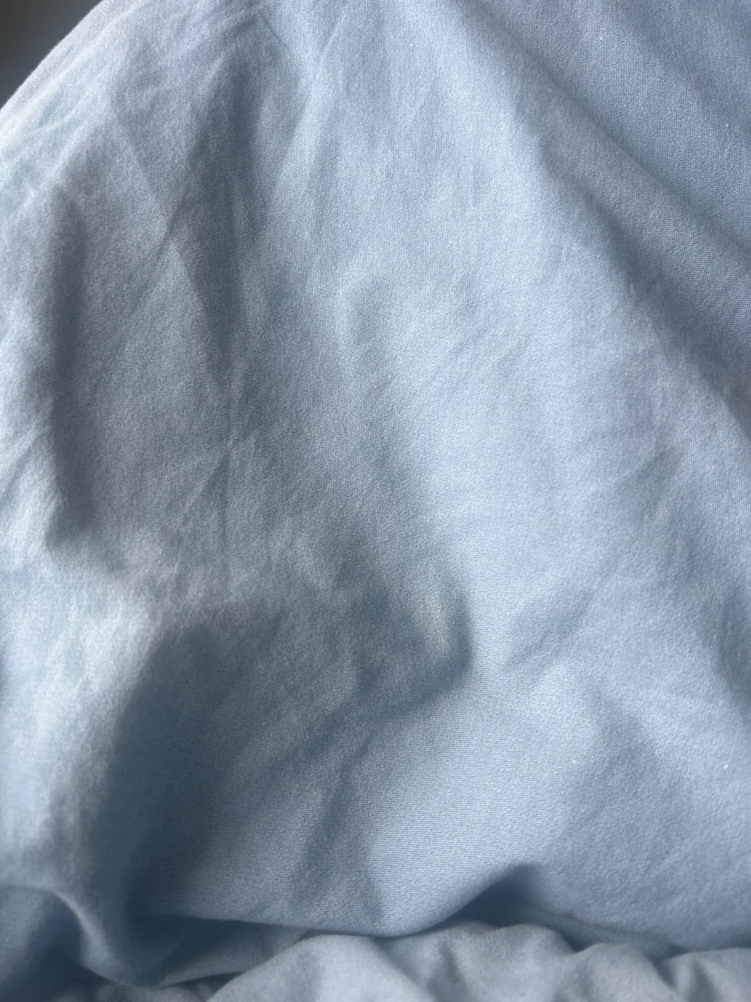 실물 포토 리뷰