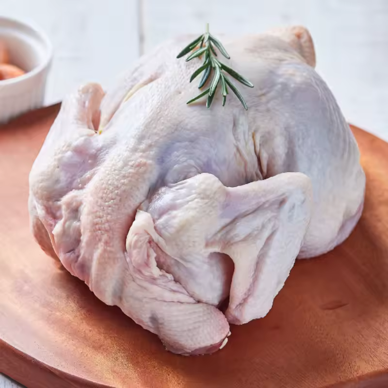 당일 생산 9호 생닭 사진