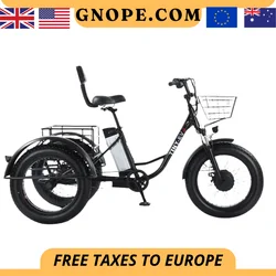 Fat Tire Electric Bicycle 20 Inch 3 Wheel Electric Cargo Bike For Adults Women Men Powerful 48V 500W Lithium Battery Removable