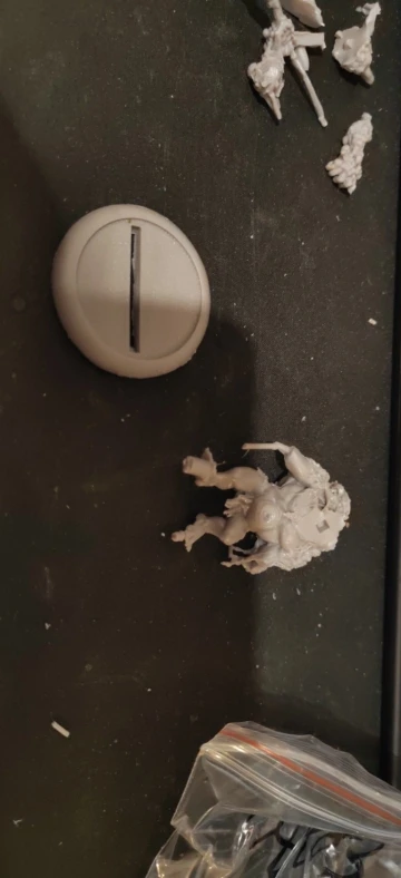 Buyer photo of this resin kit