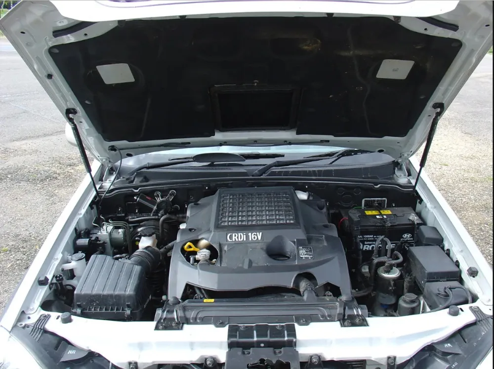 

2x демпфер капота для Hyundai Terracan HP SUV 2001-2008 годов, внедорожник, передний капот, газовые стойки, подъемная опора, амортизатор, поршень