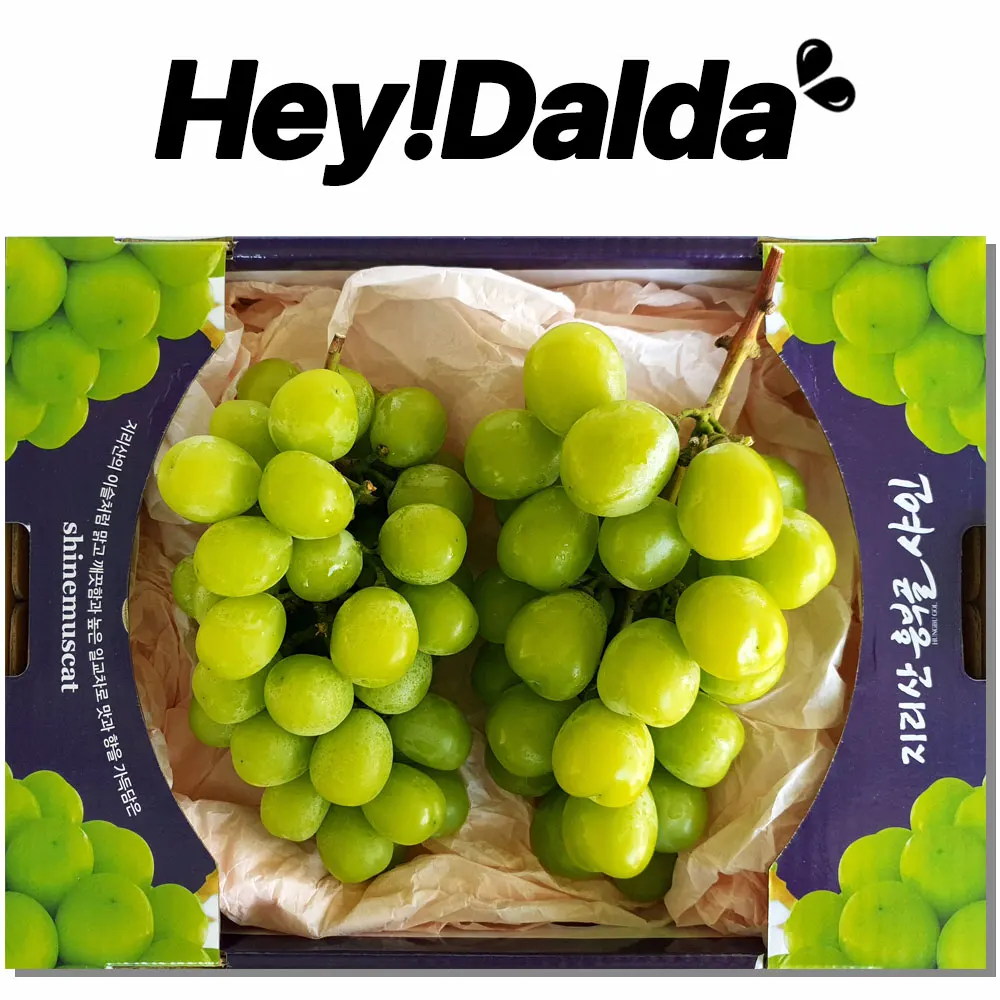 [هايدالدا] مسقط لامع مضمون الذوق 2 كجم عنب أخضر لامع