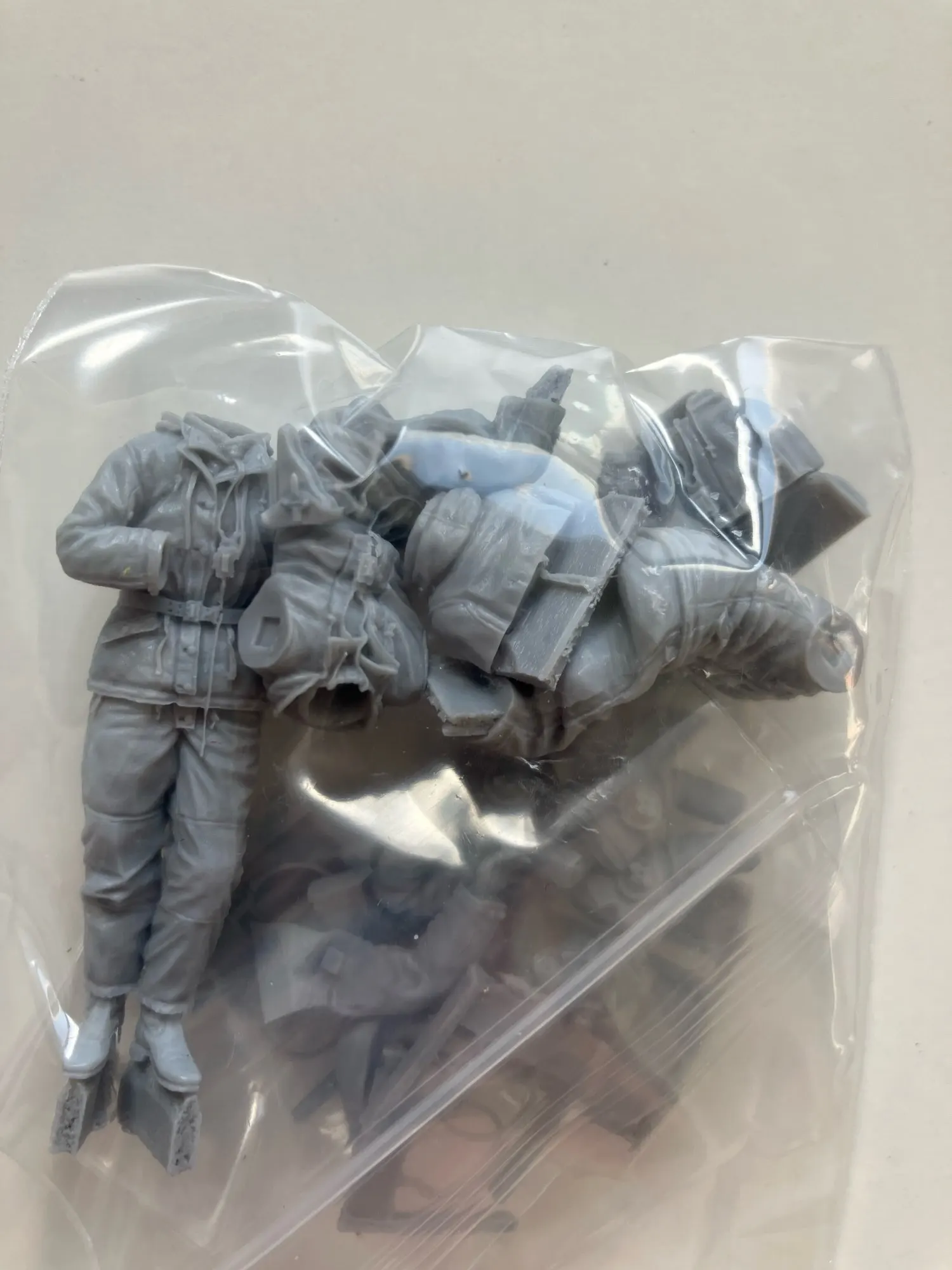Buyer photo of this resin kit