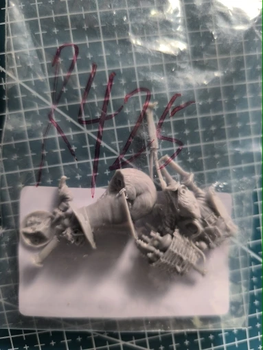 Buyer photo of this resin kit