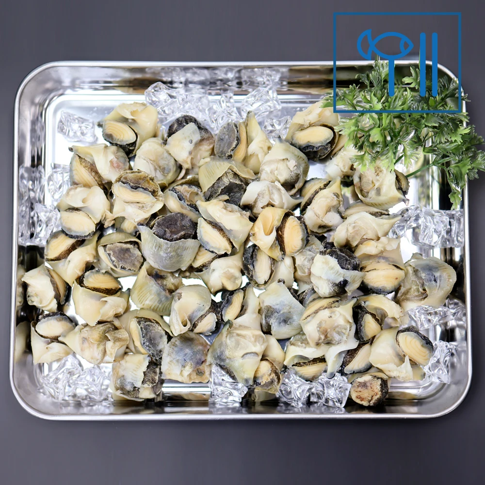 [스테잇홈] 냉동 자숙 피뿔고동살 500g