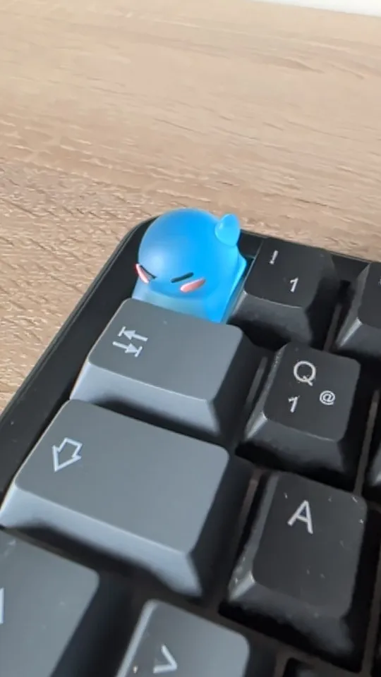 실물 포토 리뷰
