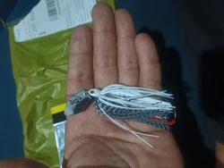 Imagen de reseña 2