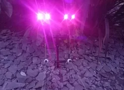 Imagen de reseña 3