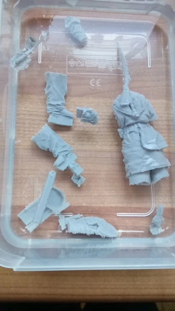 Buyer photo of this resin kit