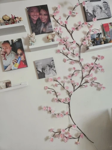 리뷰 사진