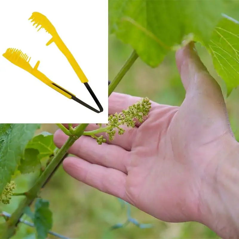 Grape Flower Thinning Tool Handhled Fruits Bud Thinning & Pruning Clip for Farm Gardening Plant Vegetable Fruit Thinning Shears