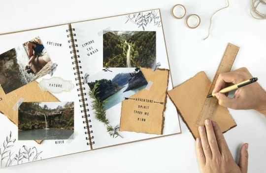 Journamm 20pcs Branches DIY Journal Material PET Stickers Scrapbooking Arts and Crafts Projects Decor Photo Album Collage photo review