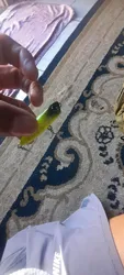 Imagen de reseña 3