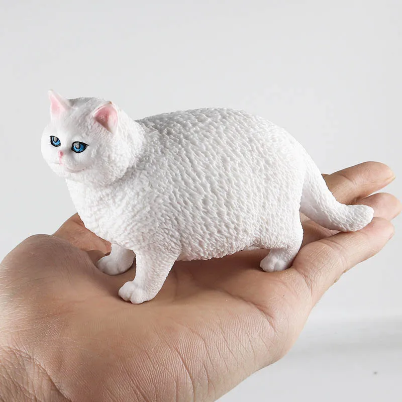 Simualtion Pet Animals Cute Short Haired Fat Cat Action Figures British Shorthair Miniacture Home Decor Children Educational Toy