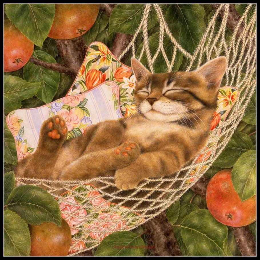 Lazy Days - Counted Cross Stitch Kits - DIY Handmade Needlework Embroidery 14 CT Aida Cross Stitch Sets DMC Color