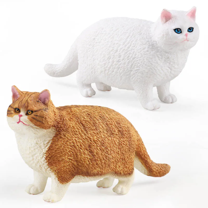 Simualtion Pet Animals Cute Short Haired Fat Cat Action Figures British Shorthair Miniacture Home Decor Children Educational Toy