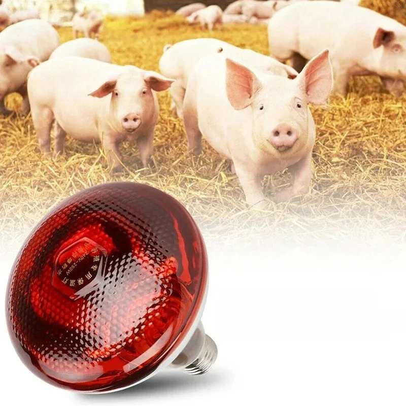 Lampe chauffante infrarouge pour volaille, étanche, anti-VPN, ampoules épaisses pour porcelet, jetable, canard, oiseaux, 250W