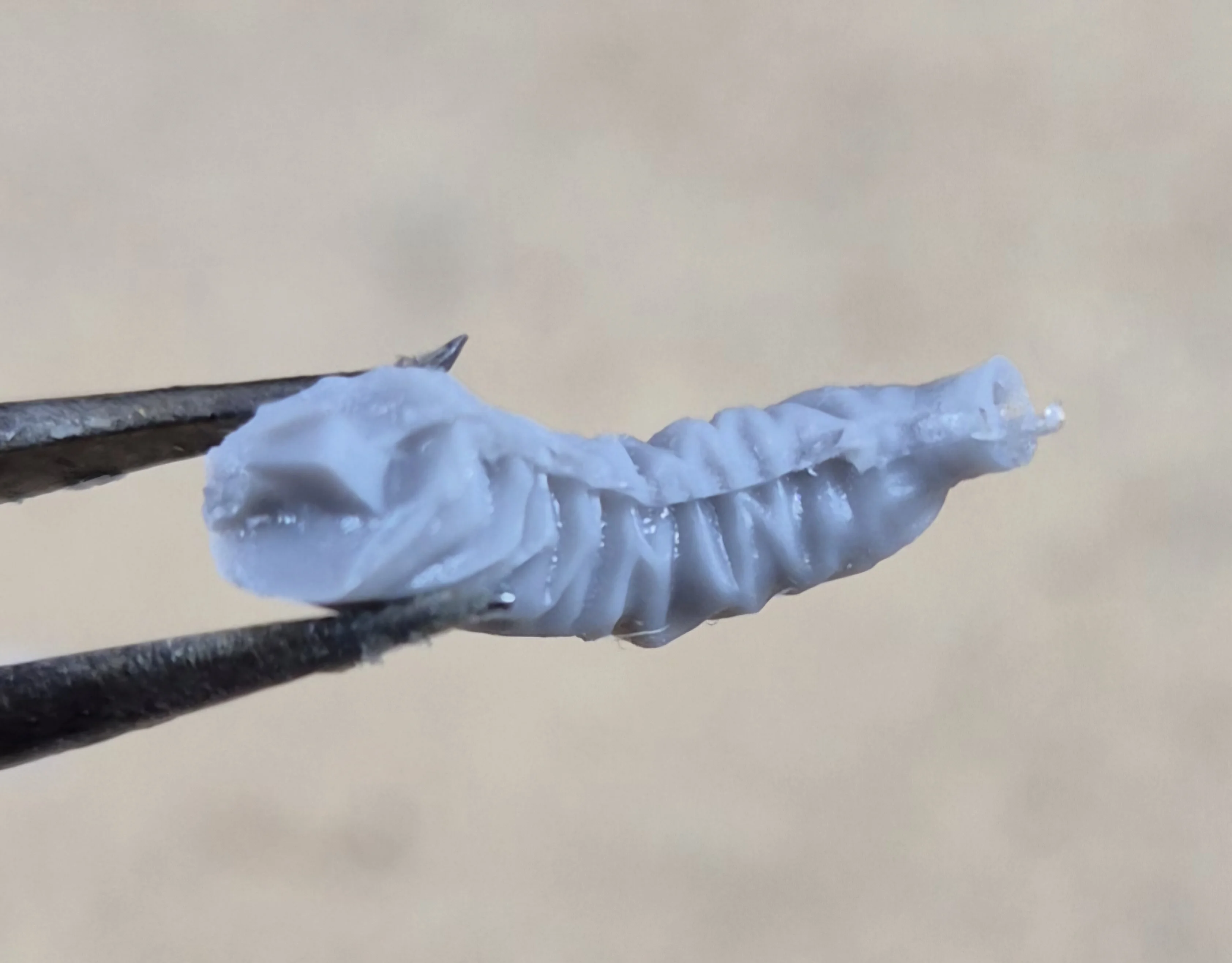 Buyer photo of this resin kit