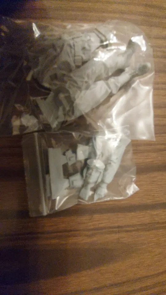 Buyer photo of this resin kit