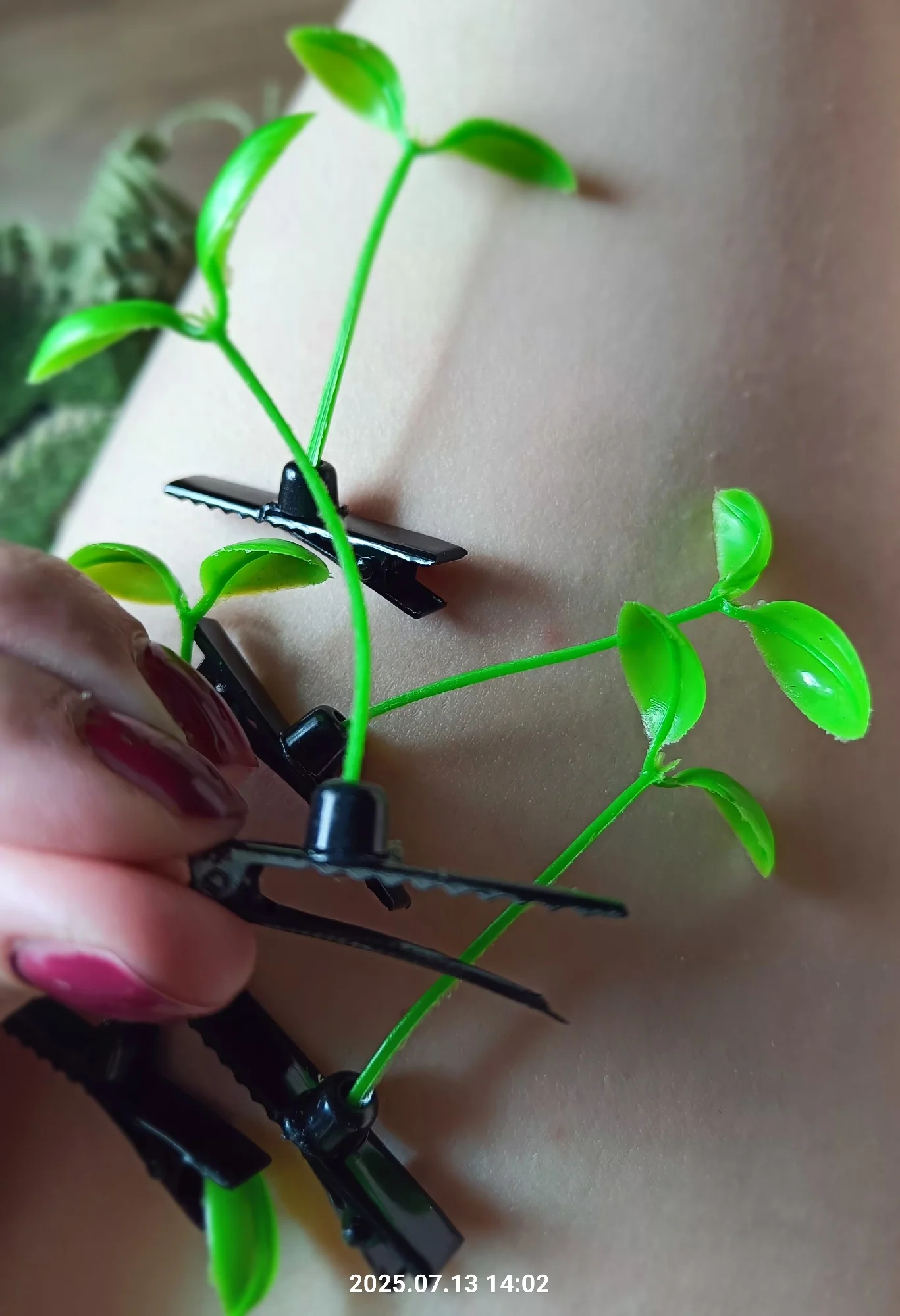 2025 New Simple Korean Green Sprout Grass Hair Clip Plant Bean Hair Cute Hairpin for Women Girls Hair Plant Accessories Gifts photo review