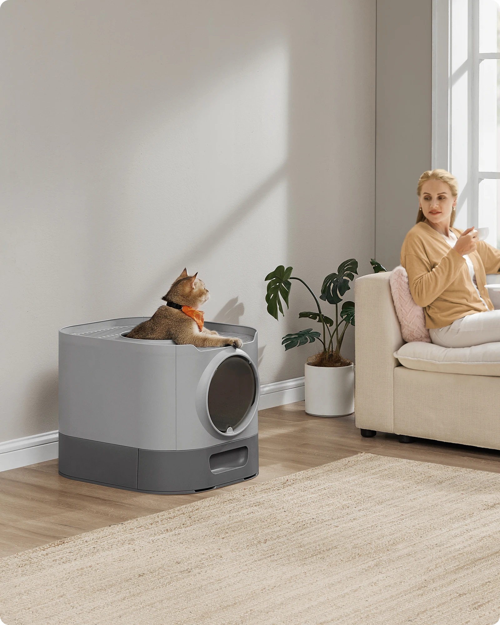 Feandrea Arenero Cerrado para Gatos, Caja de Arena para Gatos XXL,, Bandeja Extraíble, Recogedor, Cepillo, Gatos Grandes,, Antipérdida, Gris Paloma y Gris Pizarra /Color Avena y Gris Cálido/Gris Paloma y Gris Claro