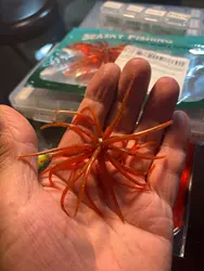 Imagen de reseña 2