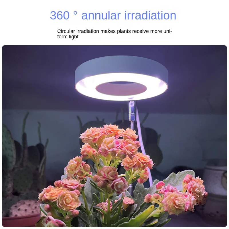Plant Grow Light LED spettro completo per piante Timer automatico regolabile in altezza 5V Fill Light Flower sa crescere per pianta da interno